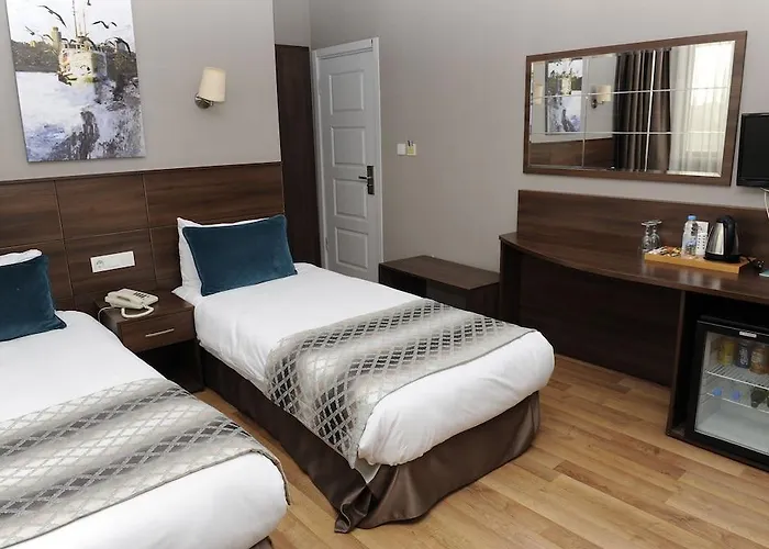 Star Hotel Provincia di Istanbul